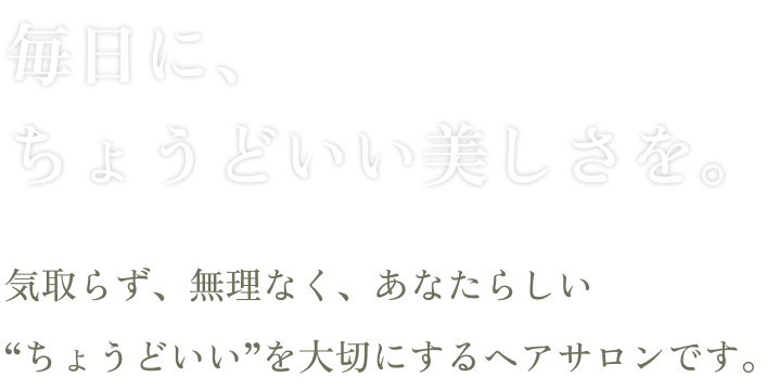 毎日に、ちょうどいい美しさを。